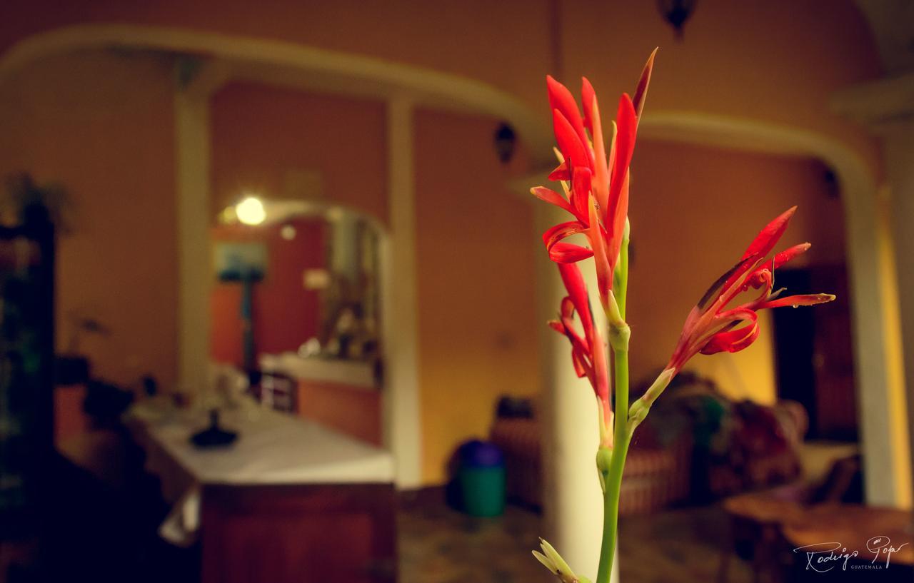 Hotel Villa Santa Elena Chahal Buitenkant foto
